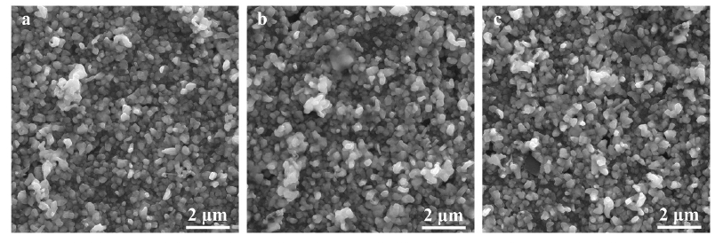 铝合金基体的SEM图像