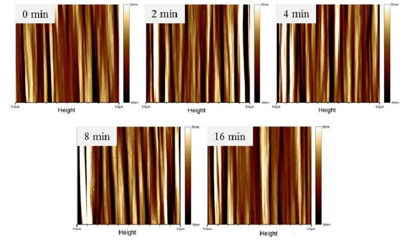 不同等离子体处理时间碳纤维的AFM图